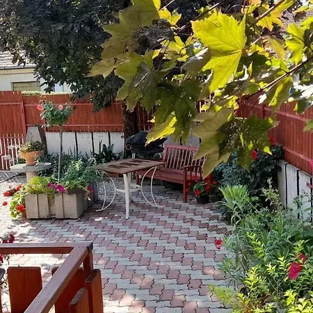 Apartament Mimi Vendeghaz *